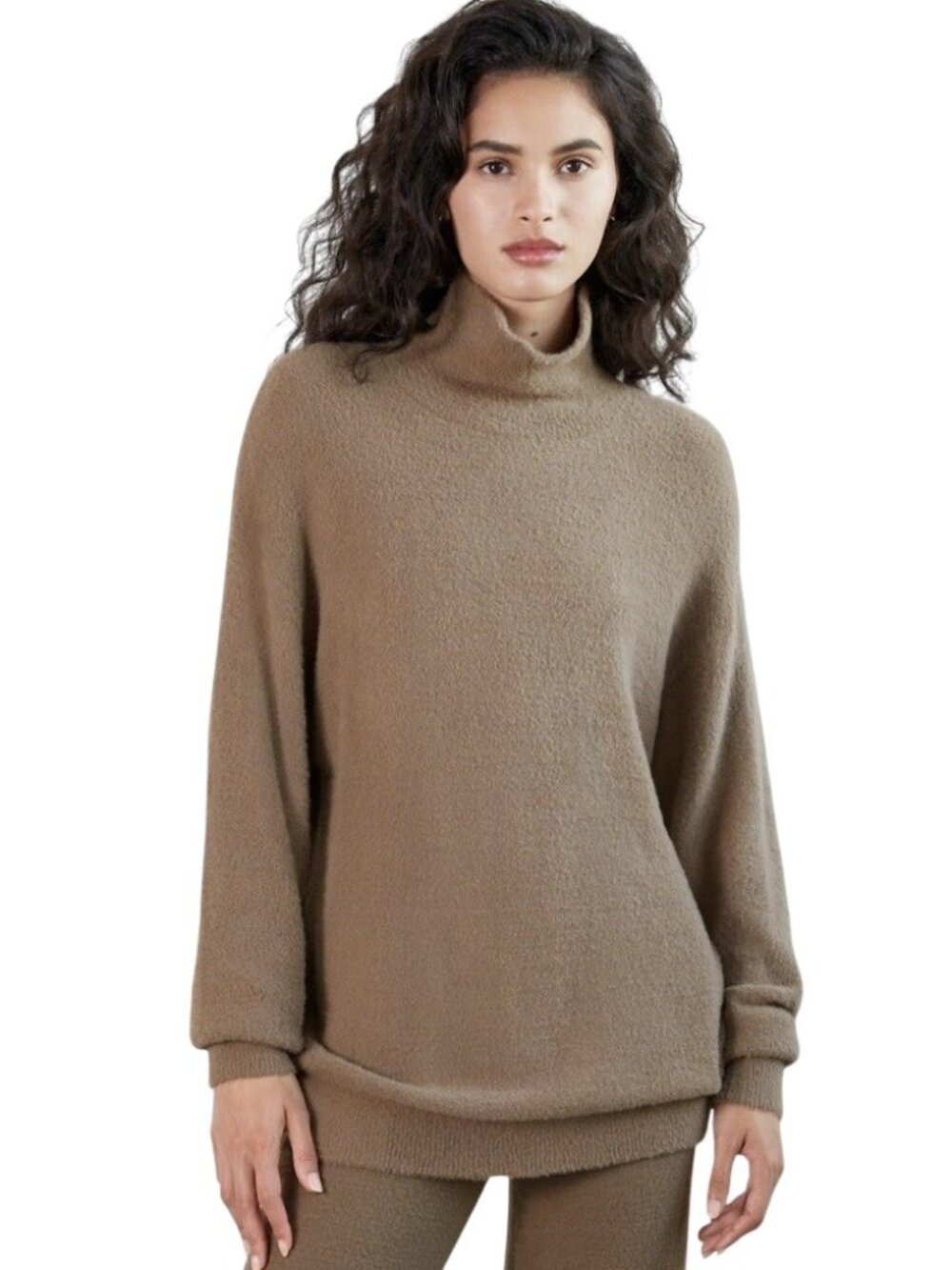 Aritzia Wilfred Free Hush Knit Turtleneck Oversized Chenille Sweater Womens Sz M